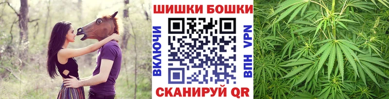 Наркошоп купить Псилоцибиновые грибы  МЕФ  МЕТАМФЕТАМИН  Марихуана  КОКАИН  ГАШ  Исилькуль
