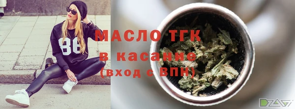 дмт Каменка