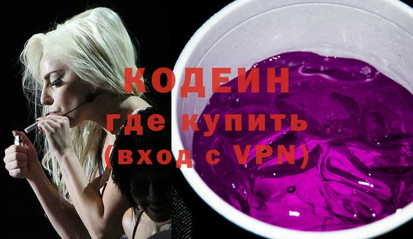 дмт Каменка