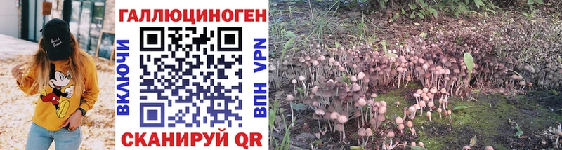 Псилоцибиновые грибы Cubensis  Купить закладки  Исилькуль 