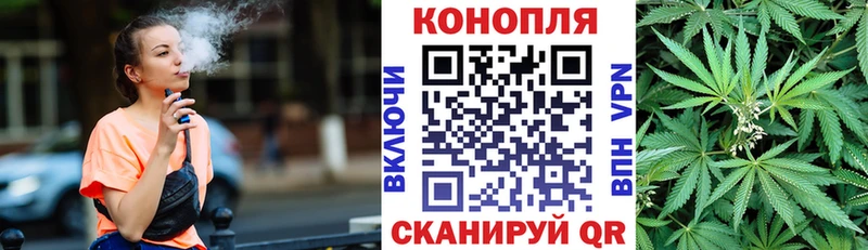 Купить Исилькуль Бошки Шишки гибрид